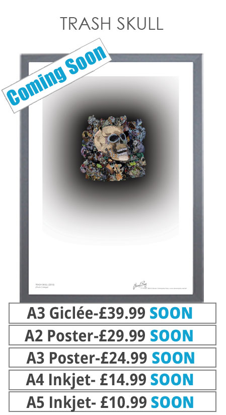 Trash Skull - Prints & Posters from £10.99