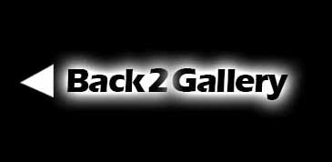 Back To Gallery Button