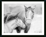 LISA'S ART & HORSES